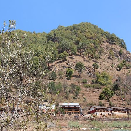 Solid Rock - Lodge & Restaurant Pharping Экстерьер фото