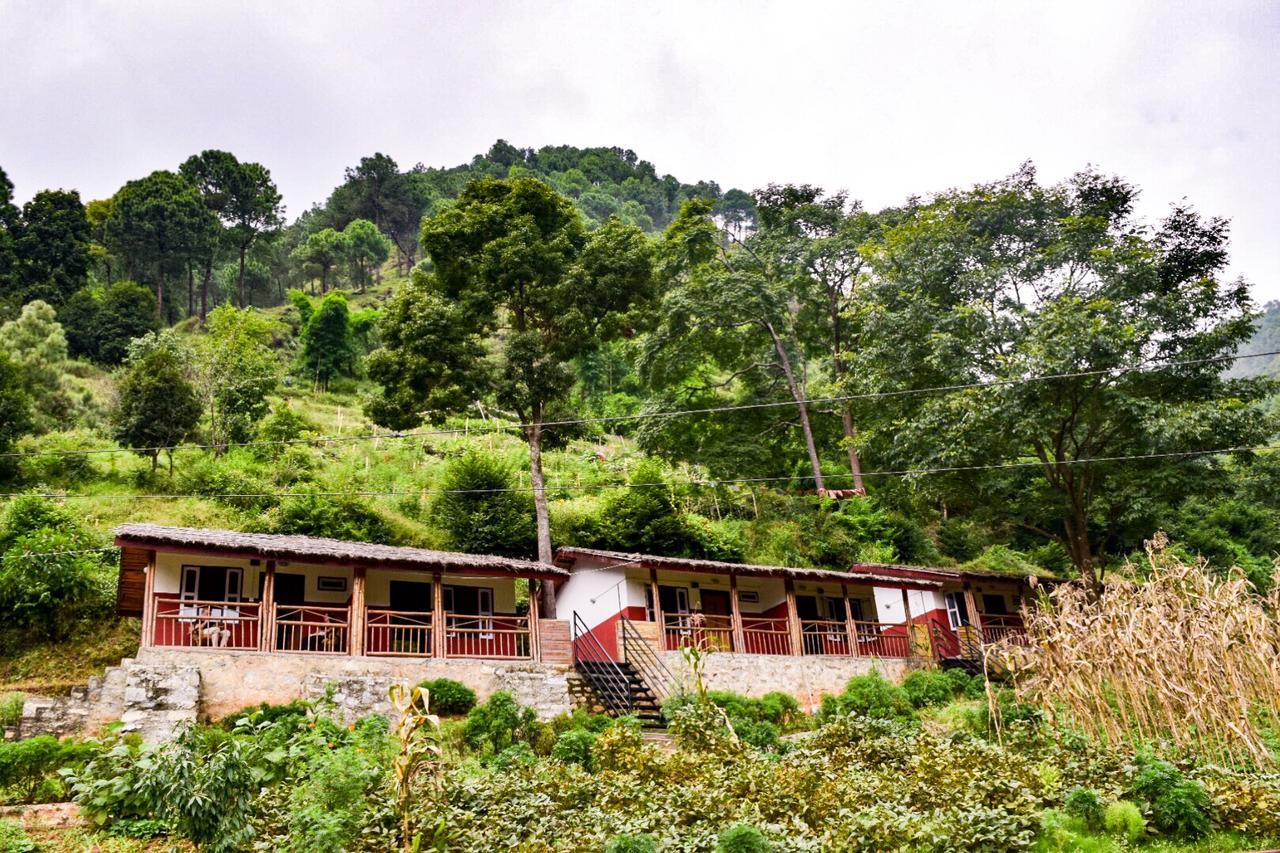 Solid Rock - Lodge & Restaurant Pharping Экстерьер фото